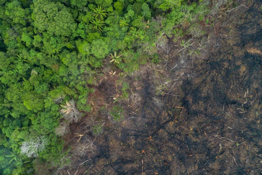 Proteggere la foresta Amazzonica