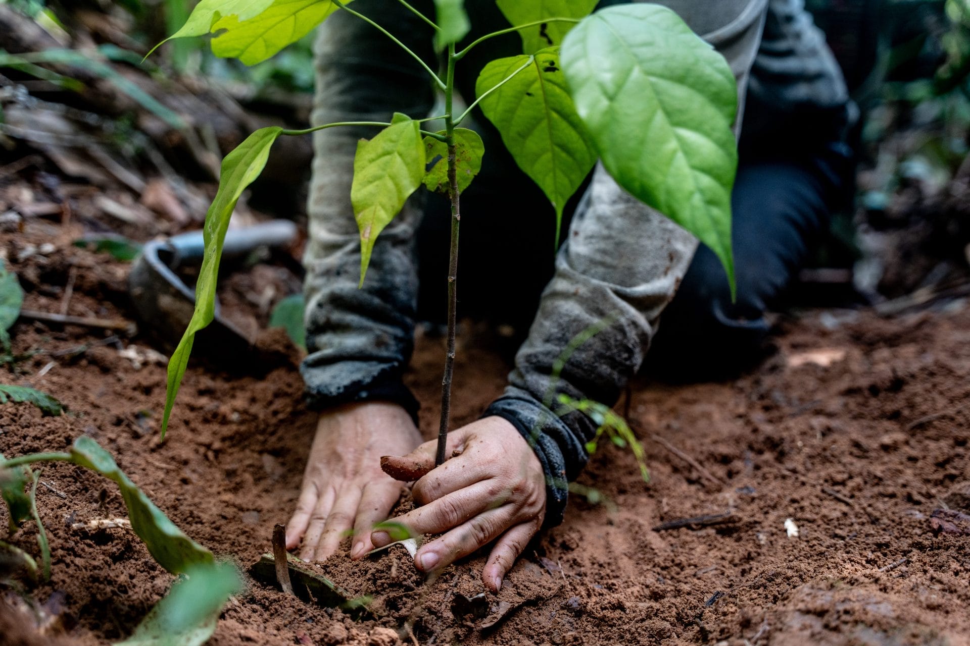 Ricorda un tuo caro con un gesto d’amore per il Pianeta