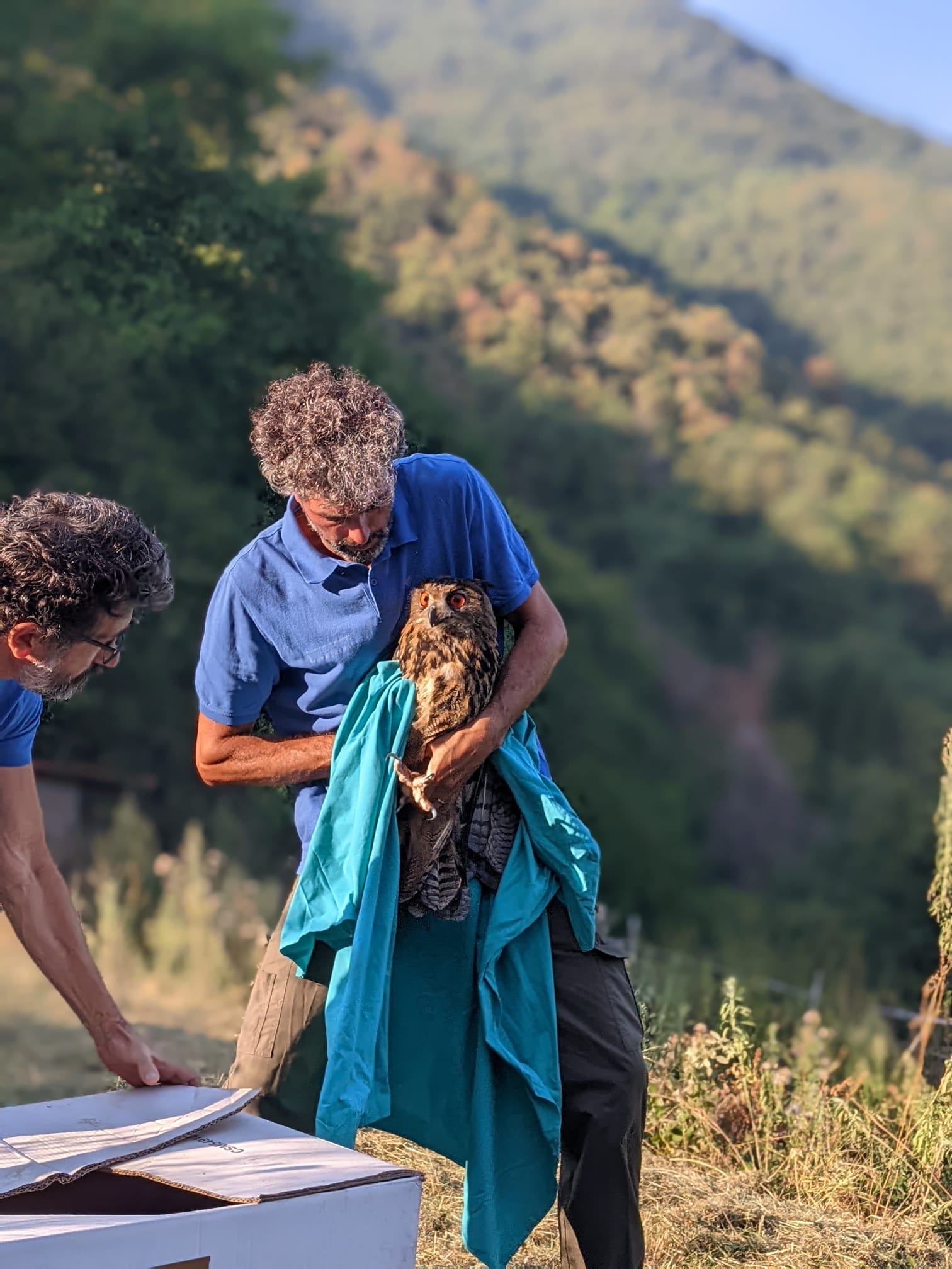 Con 240€ forniamo cure di primo soccorso ai cuccioli feriti