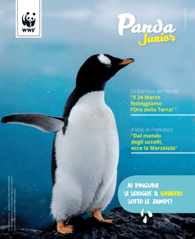 Rivista “Panda Junior”