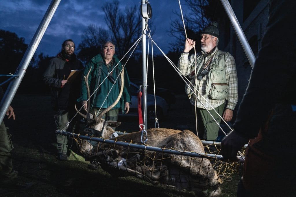 Con 210€ garantisci la buona riuscita del progetto