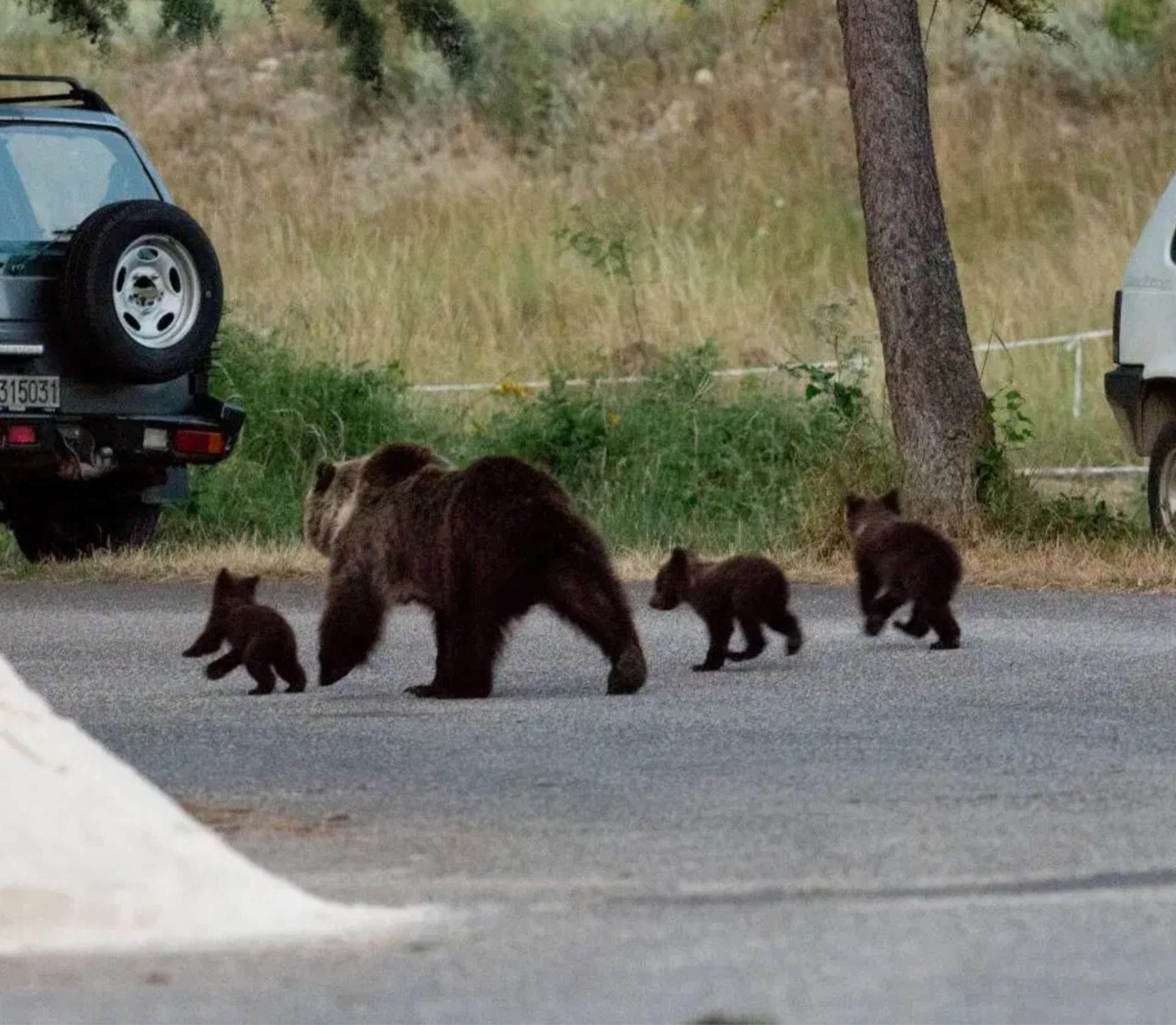 Sensibilizzare le comunità locali