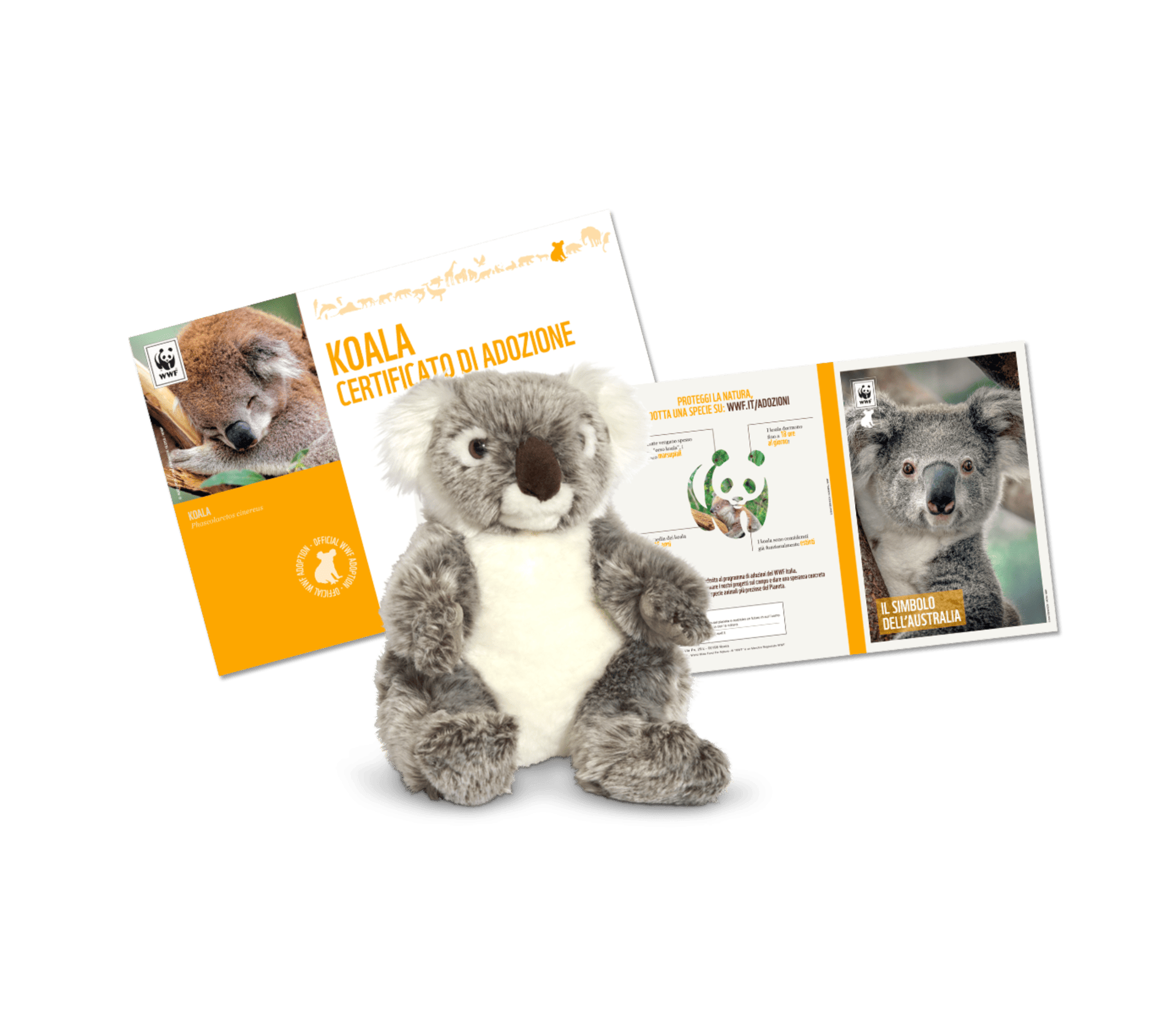 Welcome Kit con Peluche