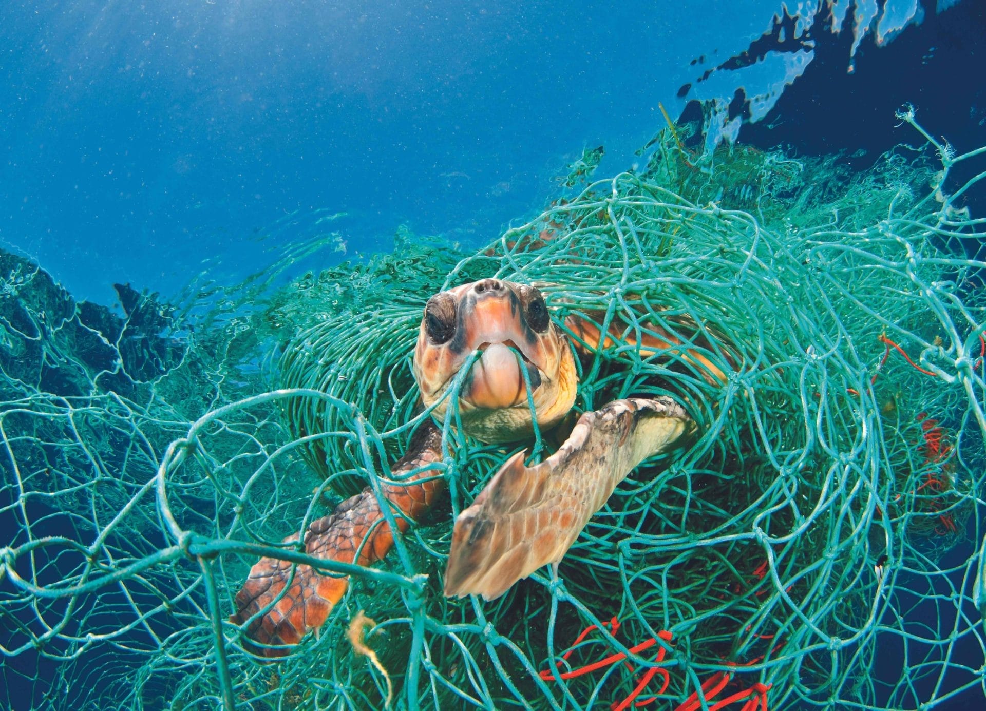 Il Mediterraneo, un mare di plastica