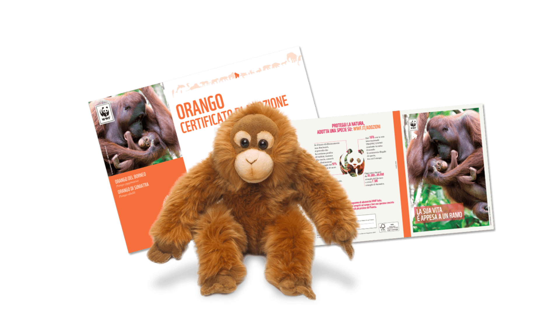 Welcome Kit con Peluche