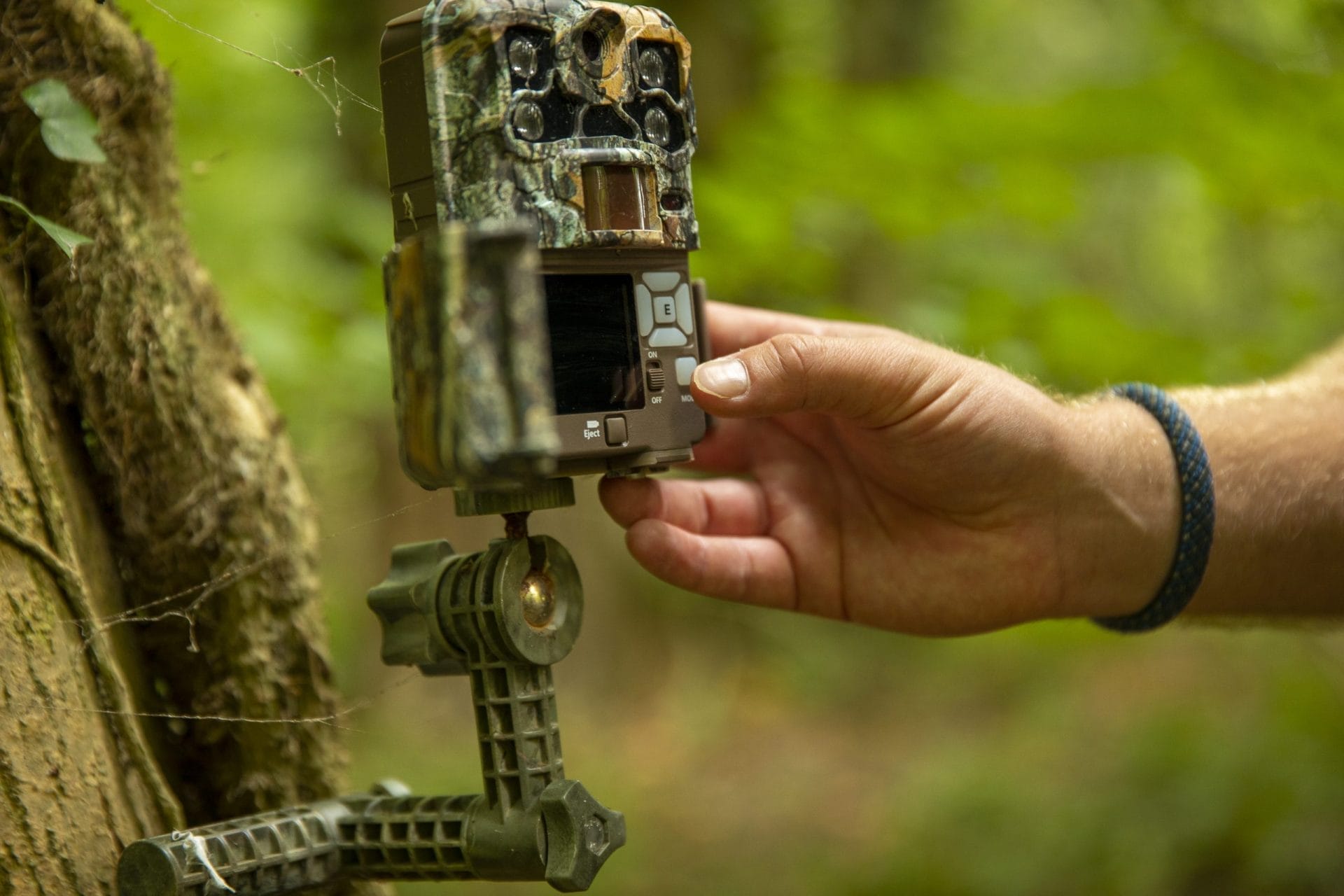 Fototrappole di sorveglianza