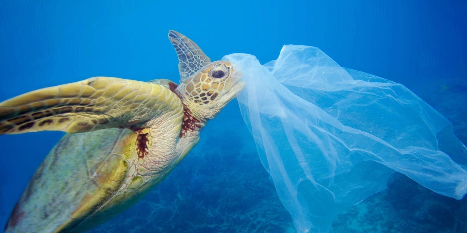 11 MILIONI DI TONNELLATE