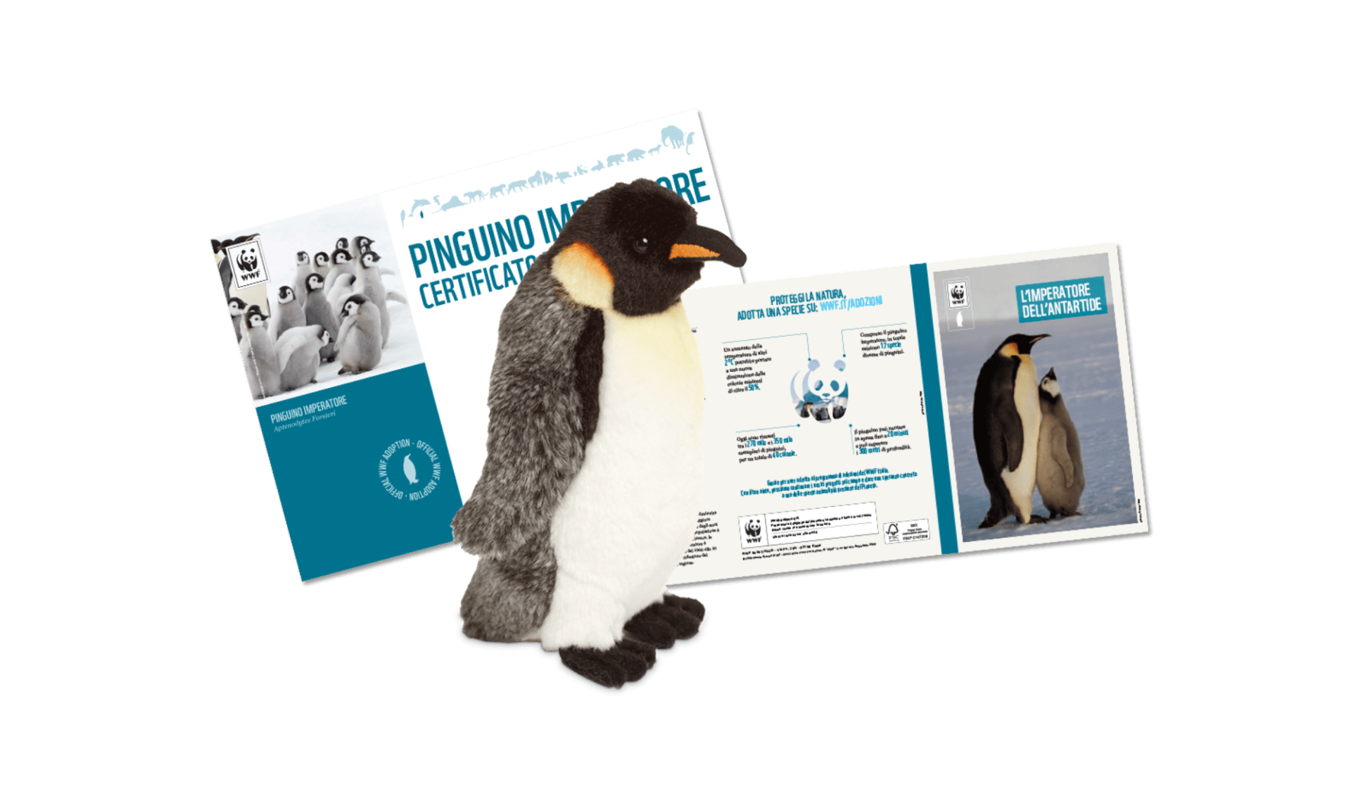 Welcome Kit con Peluche