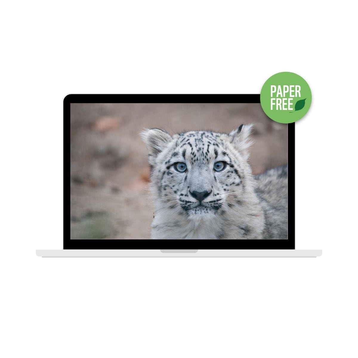 Welcome Kit Digitale