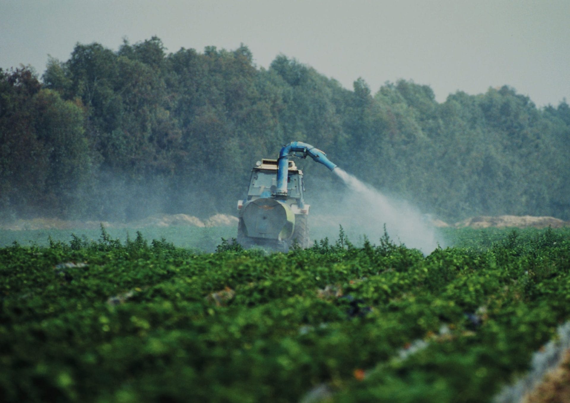 Con 25€ lotti contro i pesticidi