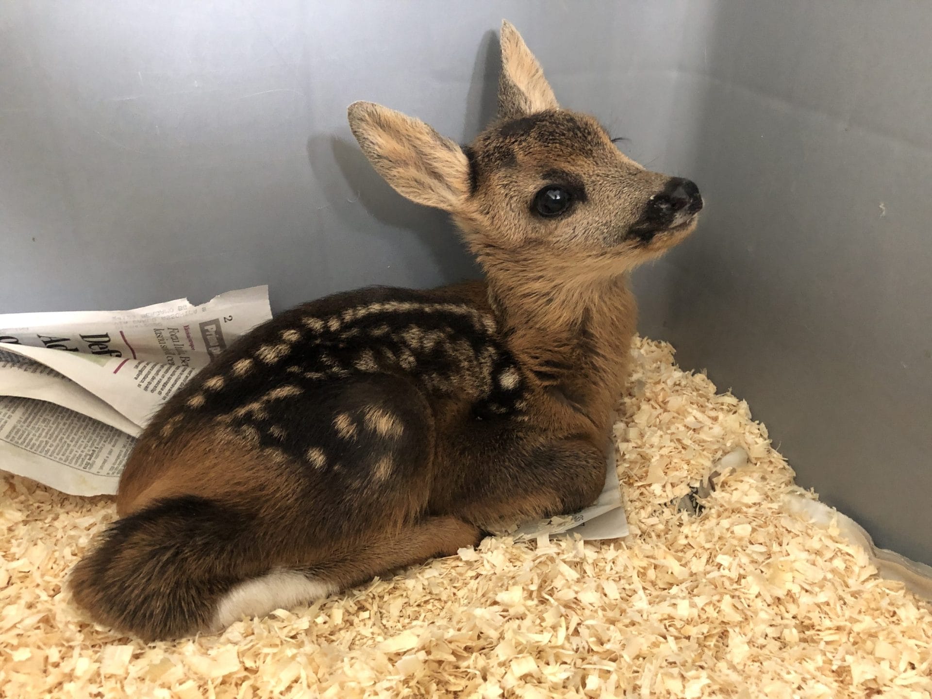 Cure di primo soccorso
