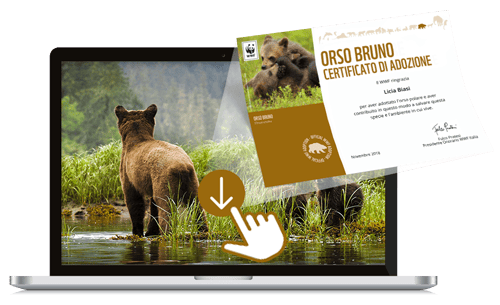 Welcome Kit Digitale