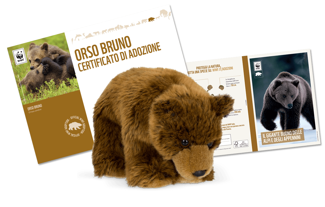 Welcome Kit con Peluche