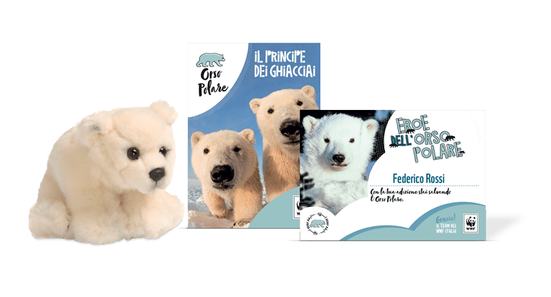 Kit Peluche Junior