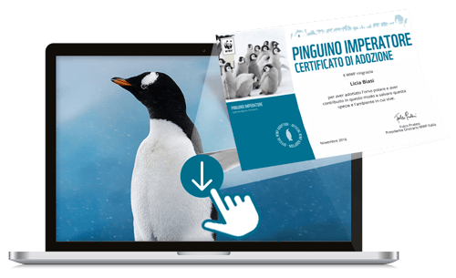 Welcome Kit Digitale