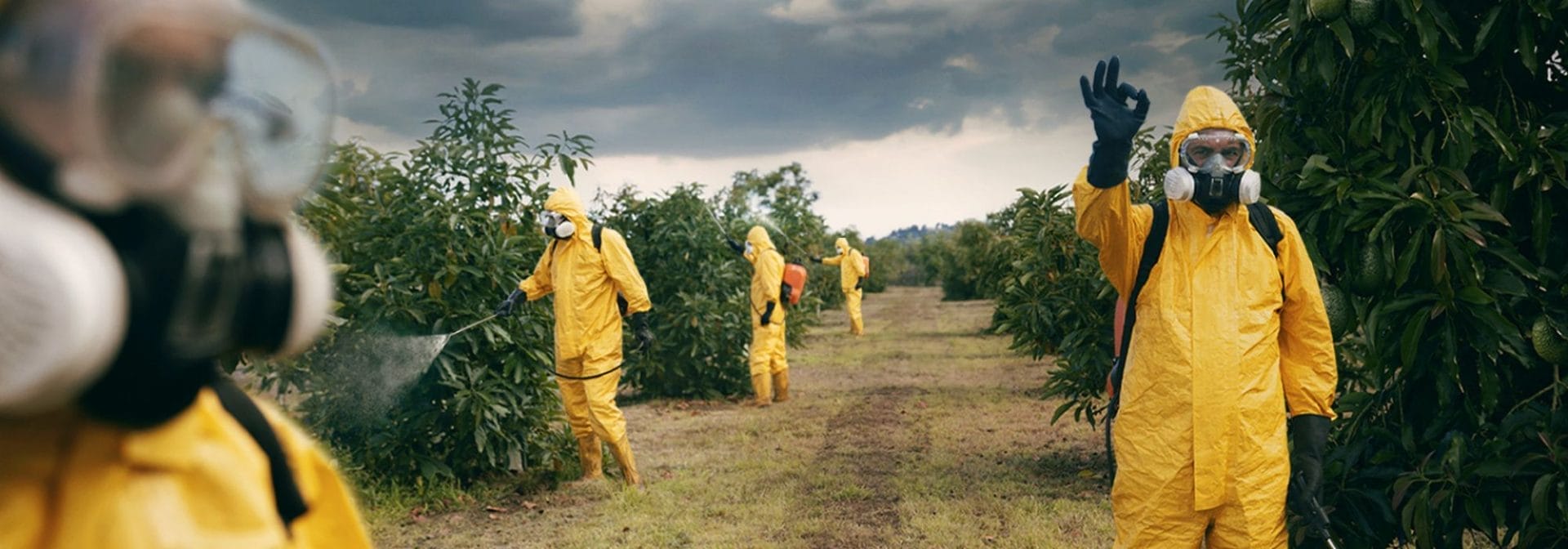 Dona il tuo 5x1000 alla Natura d'Italia