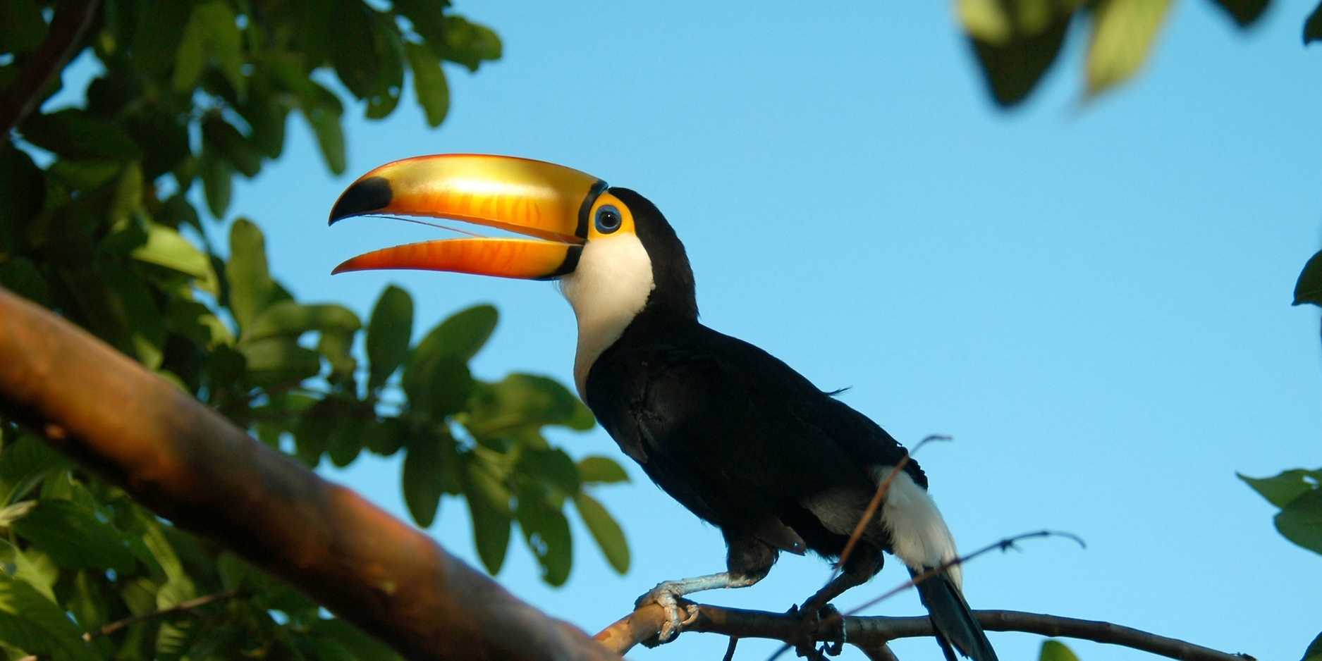 Quando sostieni la Natura, sostieni la tua casa