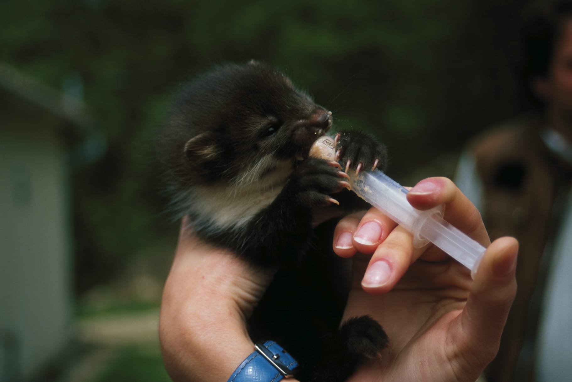 Acquistiamo cibo per una settimana