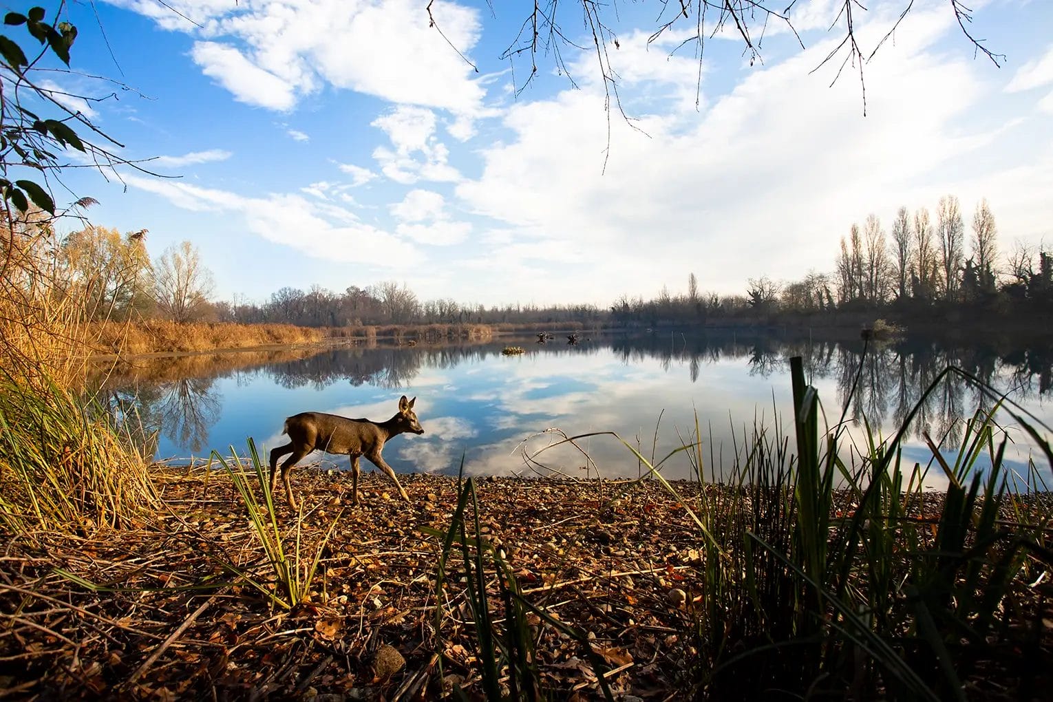 Donazioni in memoria