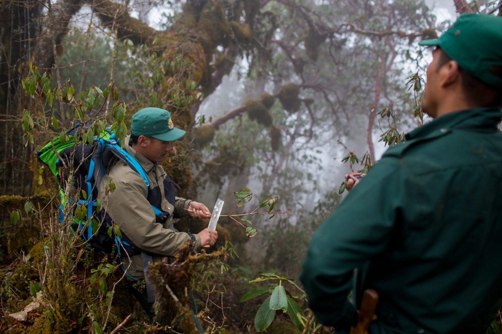 Attrezzature per i ranger