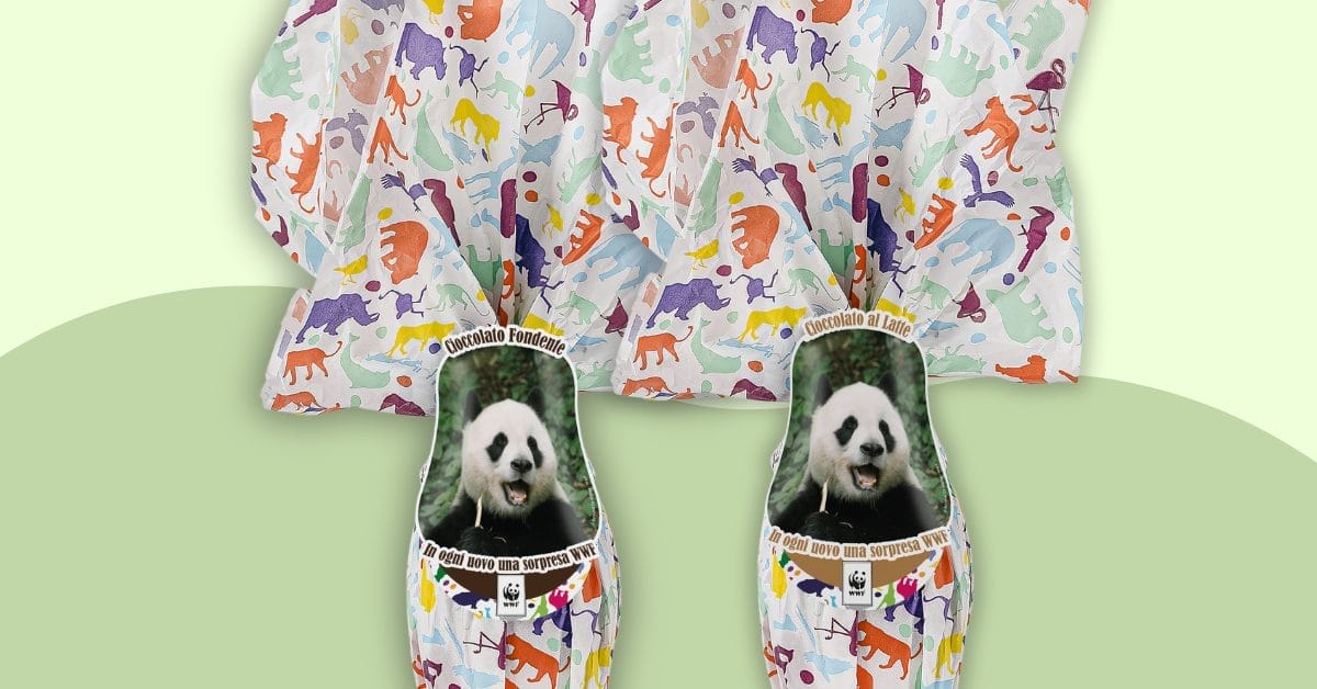 Pack Panda – 100% Vegetale