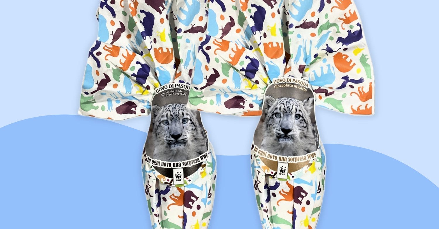 Pack Leopardo delle Nevi