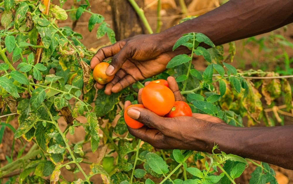 Cosa fa questa campagna per il futuro del Pianeta