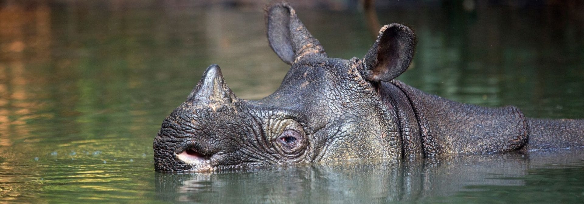 Stop crimini di Natura