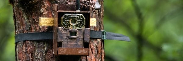 Controllo tecnologico