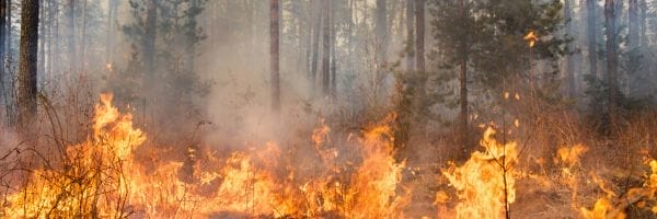 Aumento della sorveglianza