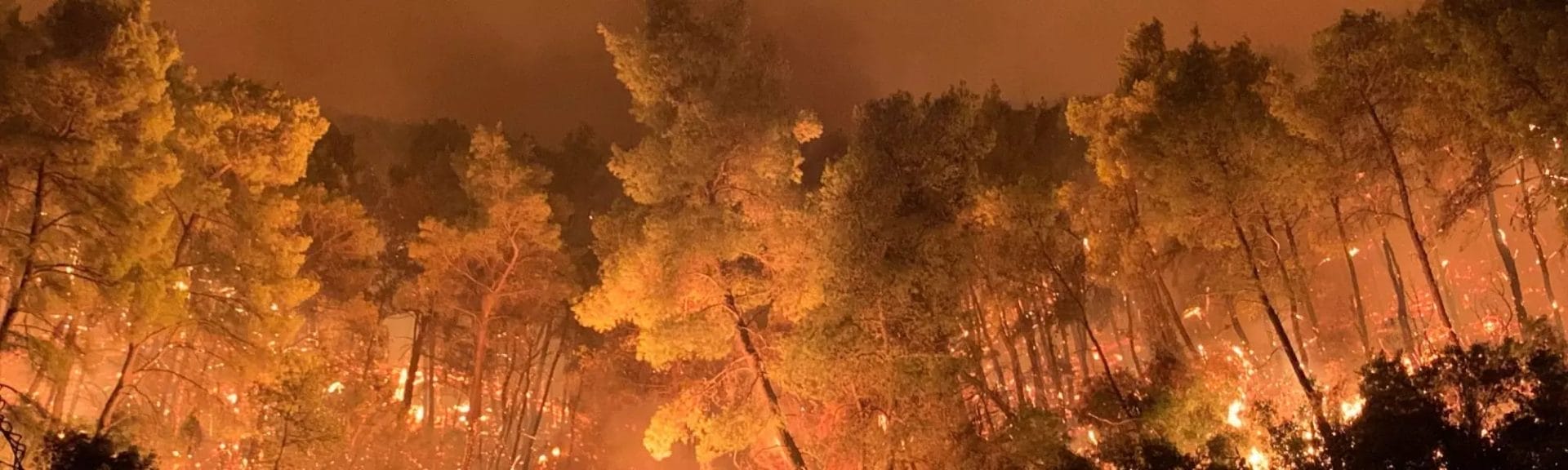 Emergenza incendi in Grecia