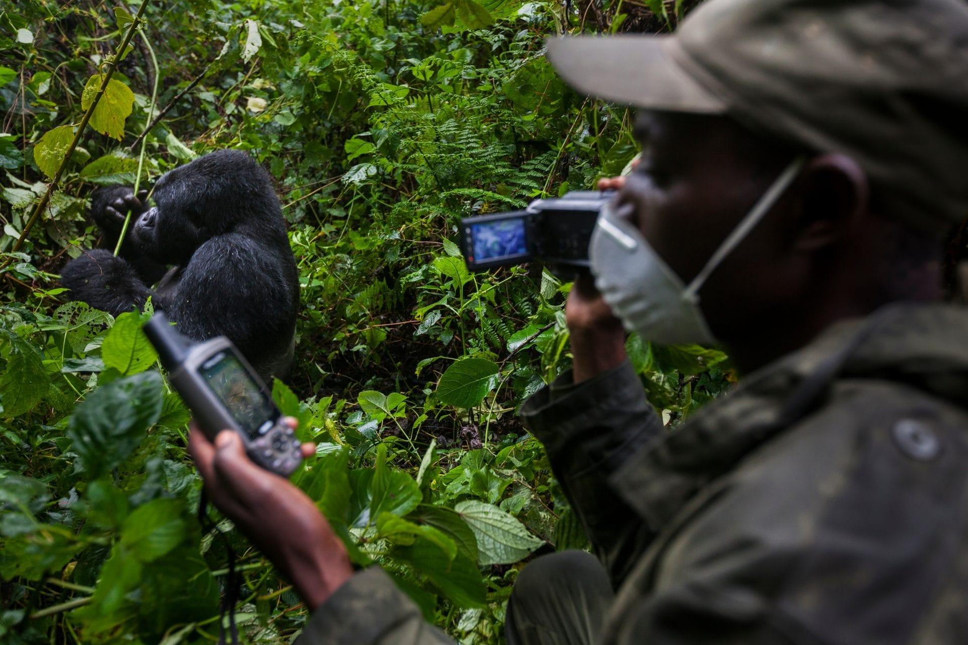 Equipaggiamento per i ranger