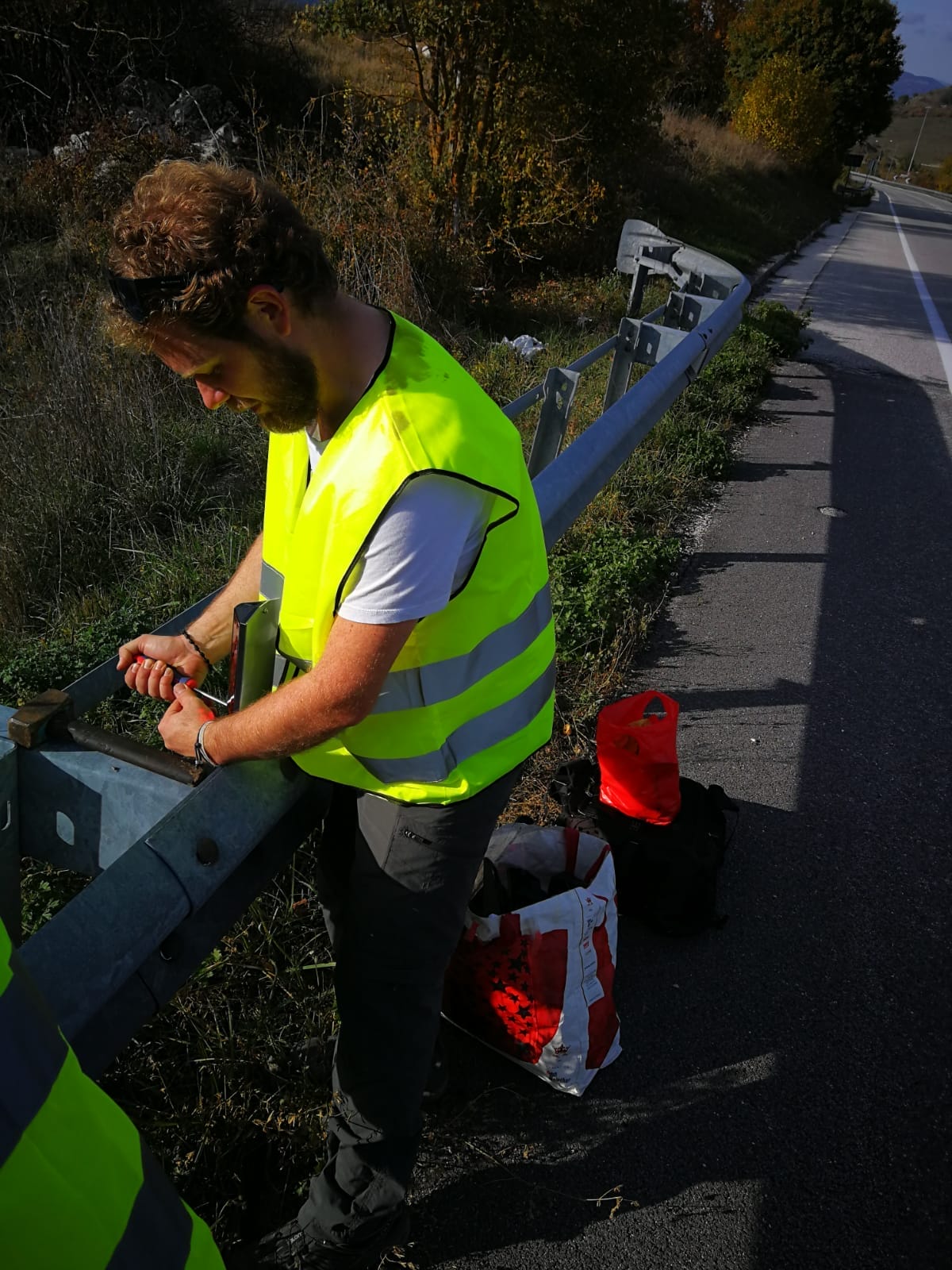 Migliorare la sicurezza stradale per gli orsi