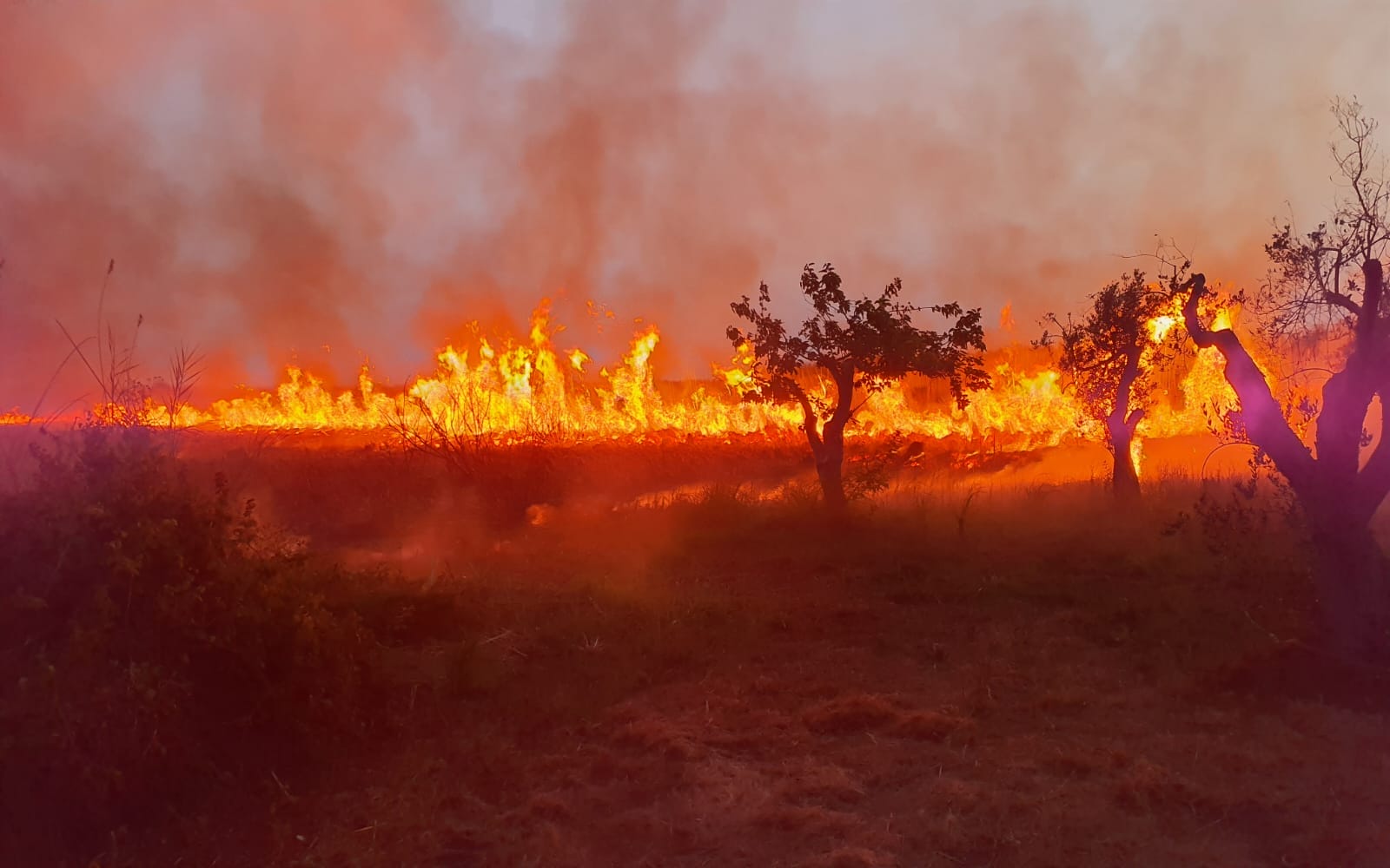 La natura italiana brucia
