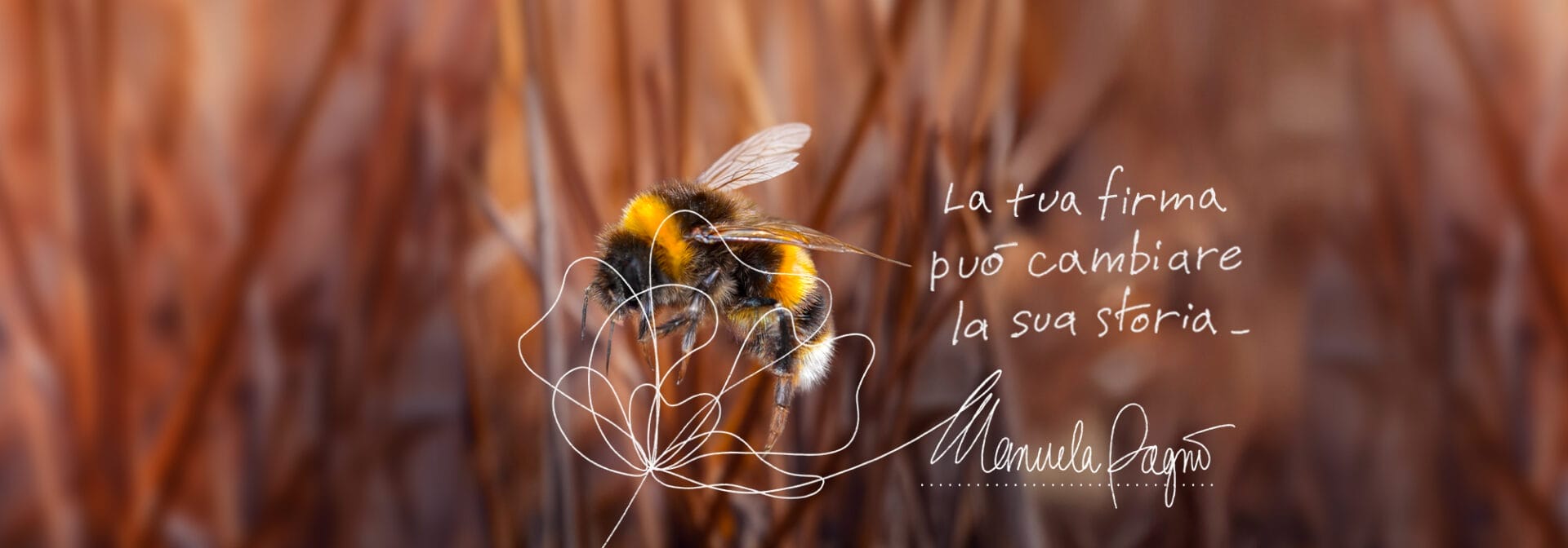 Dona il tuo 5x1000 alla Natura