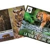 Ricevi la rivista Panda Magazine: