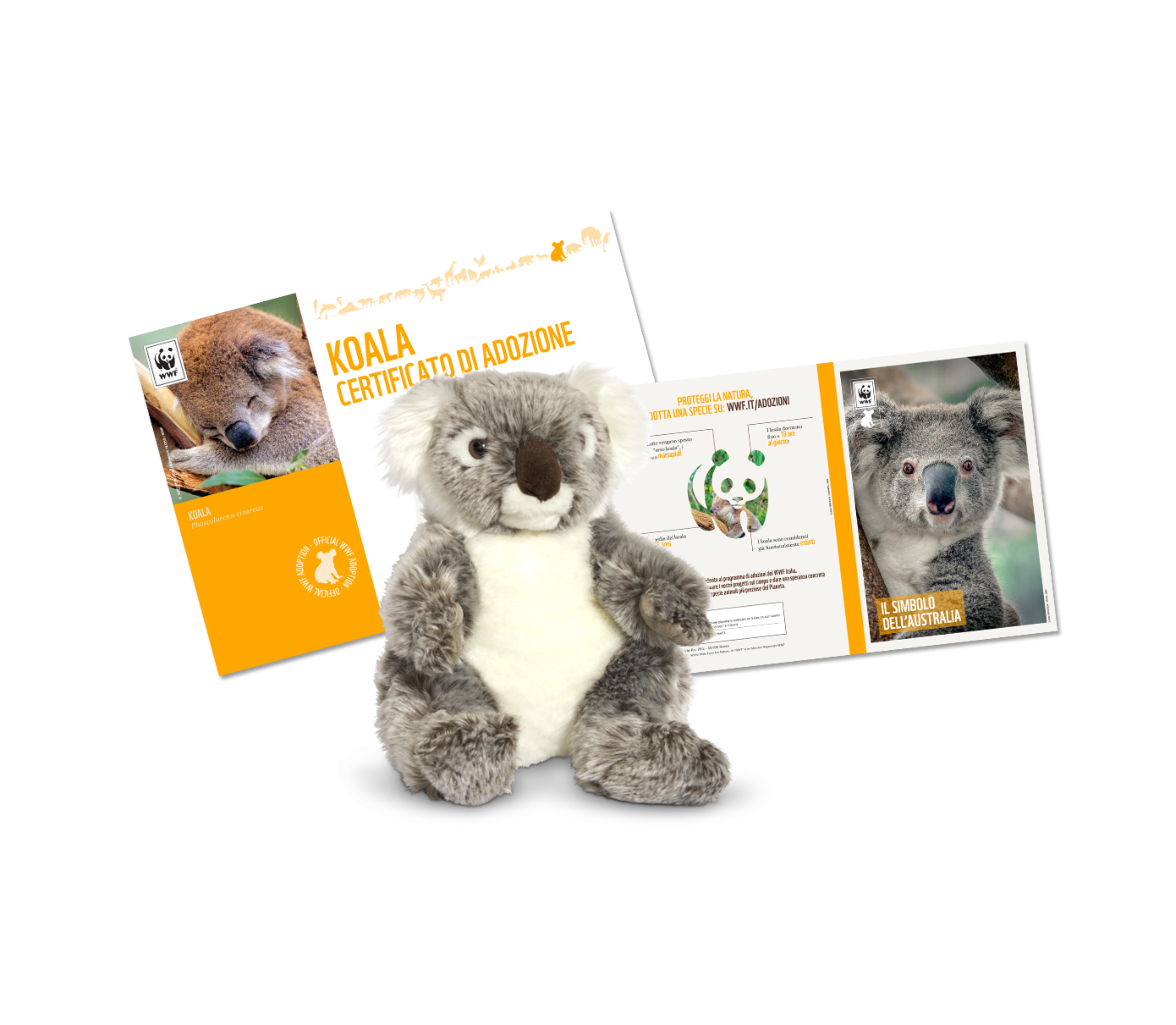 Welcome Kit con Peluche