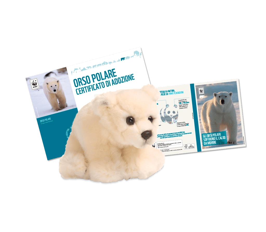 Welcome Kit con Peluche
