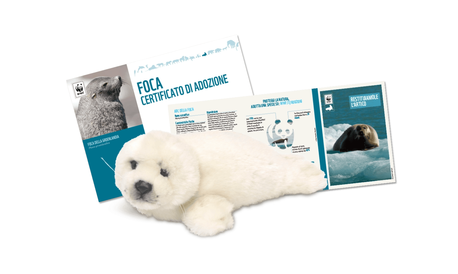 Welcome Kit con Peluche