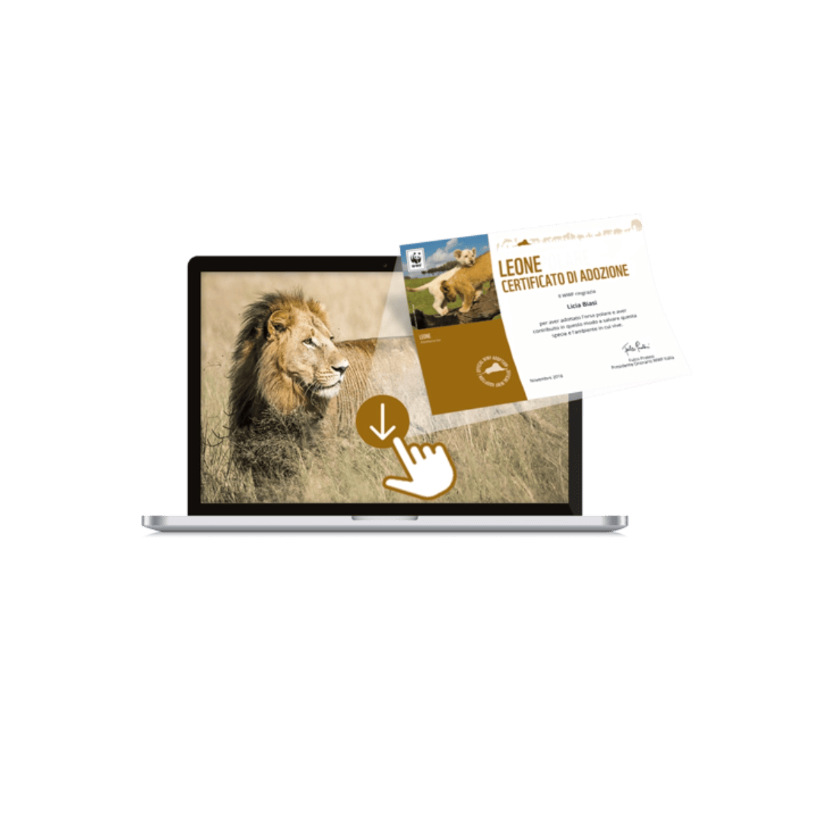 Welcome Kit Digitale