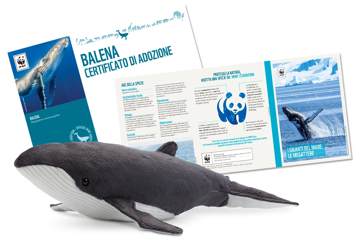 Welcome Kit con Peluche