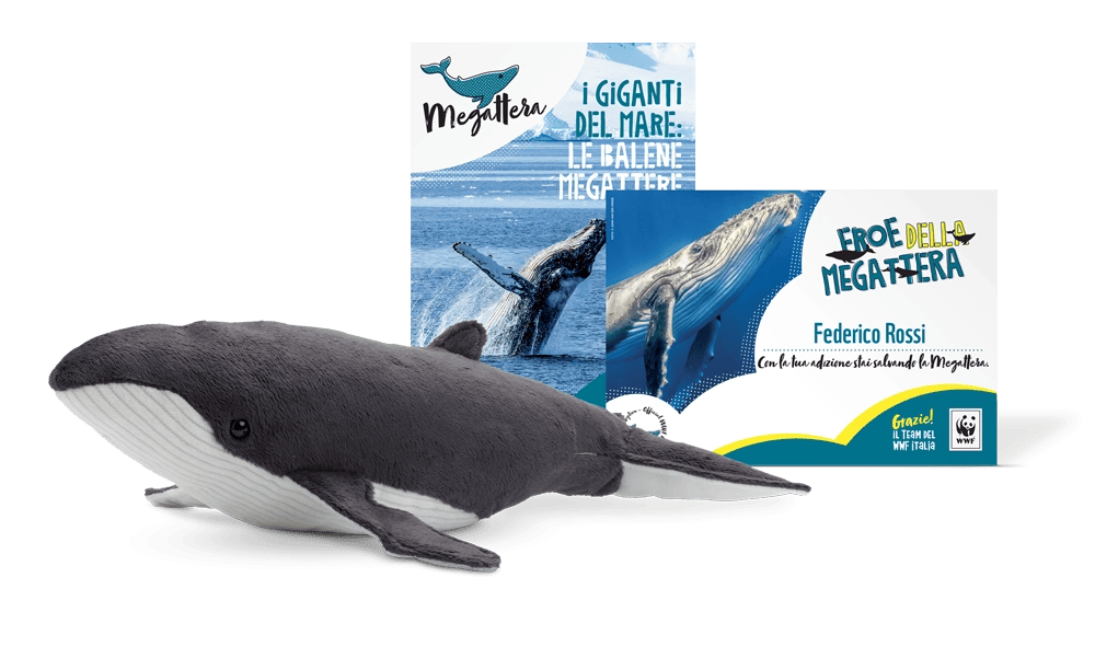 Kit Peluche Junior