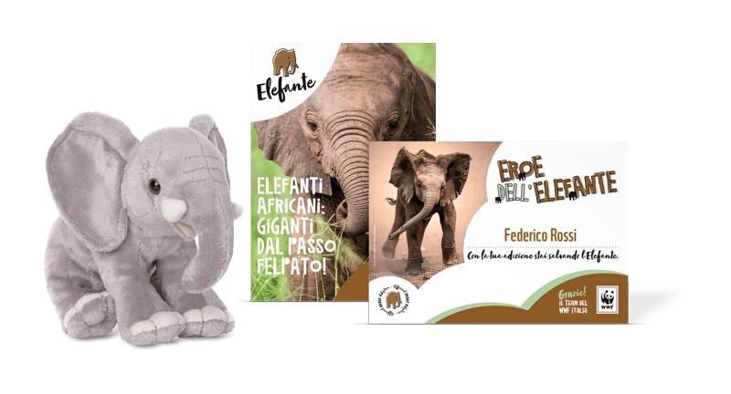 Kit Peluche Junior