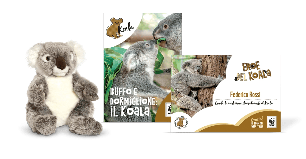 Kit Peluche Junior