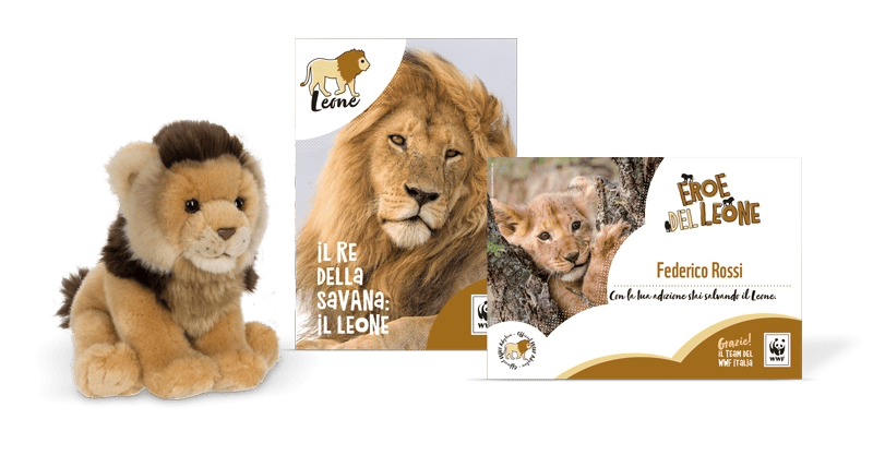 Kit Peluche Junior