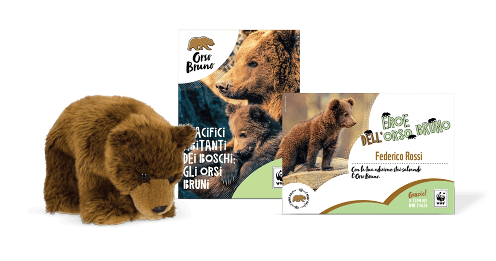 Kit Peluche Junior