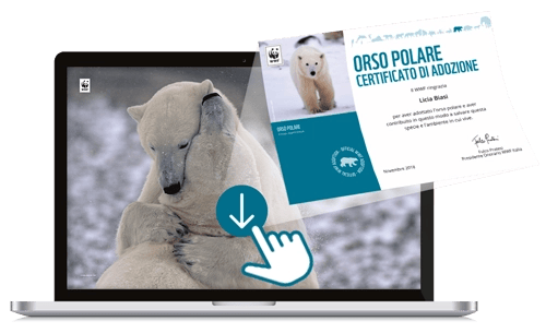 Welcome Kit digitale