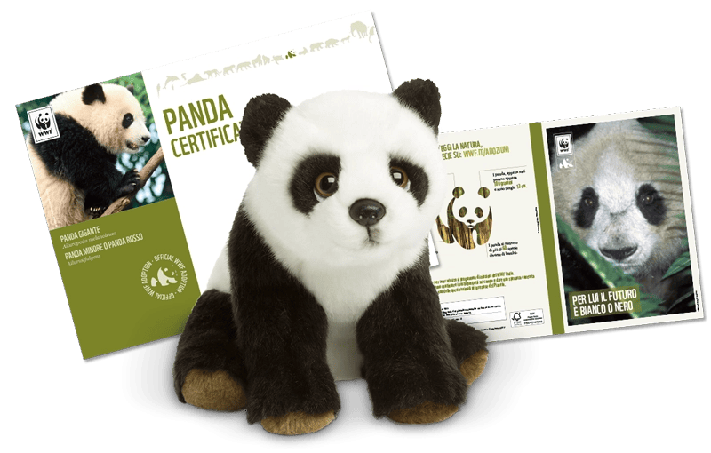Welcome Kit con Peluche