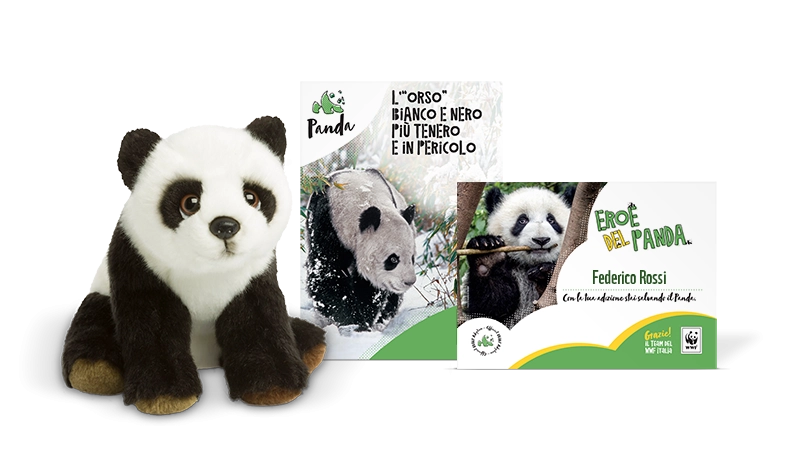 Kit Peluche Junior