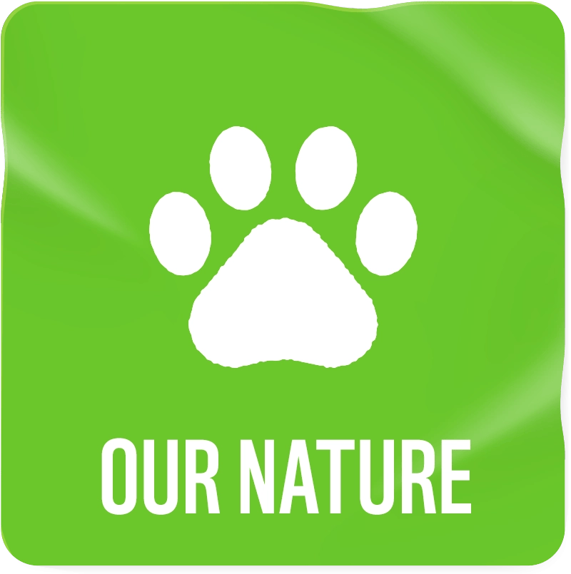 Our Nature